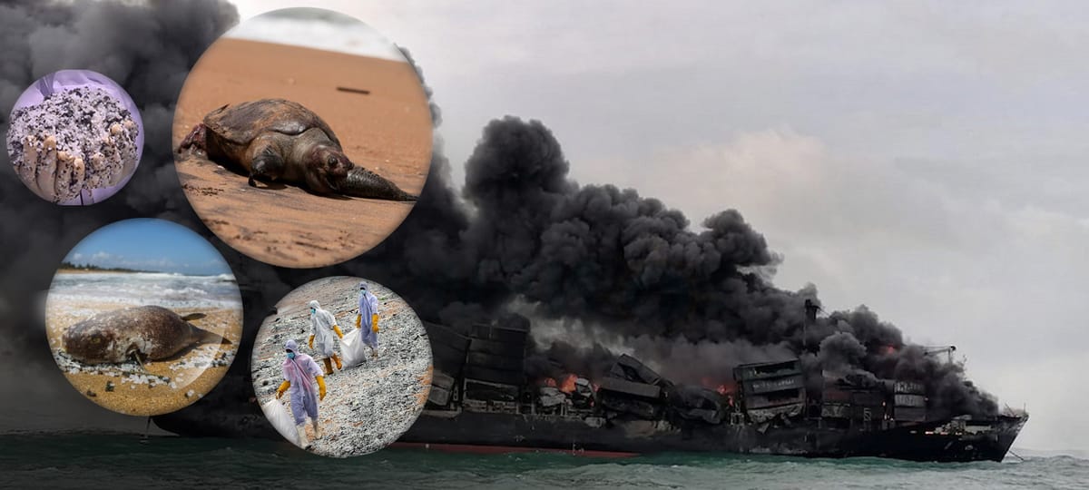 X-Press Pearl: The monstrous disaster happened to the Sri Lankan coastline...