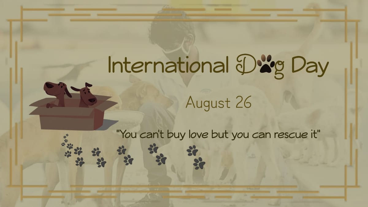 Heed to Forlorn Canines