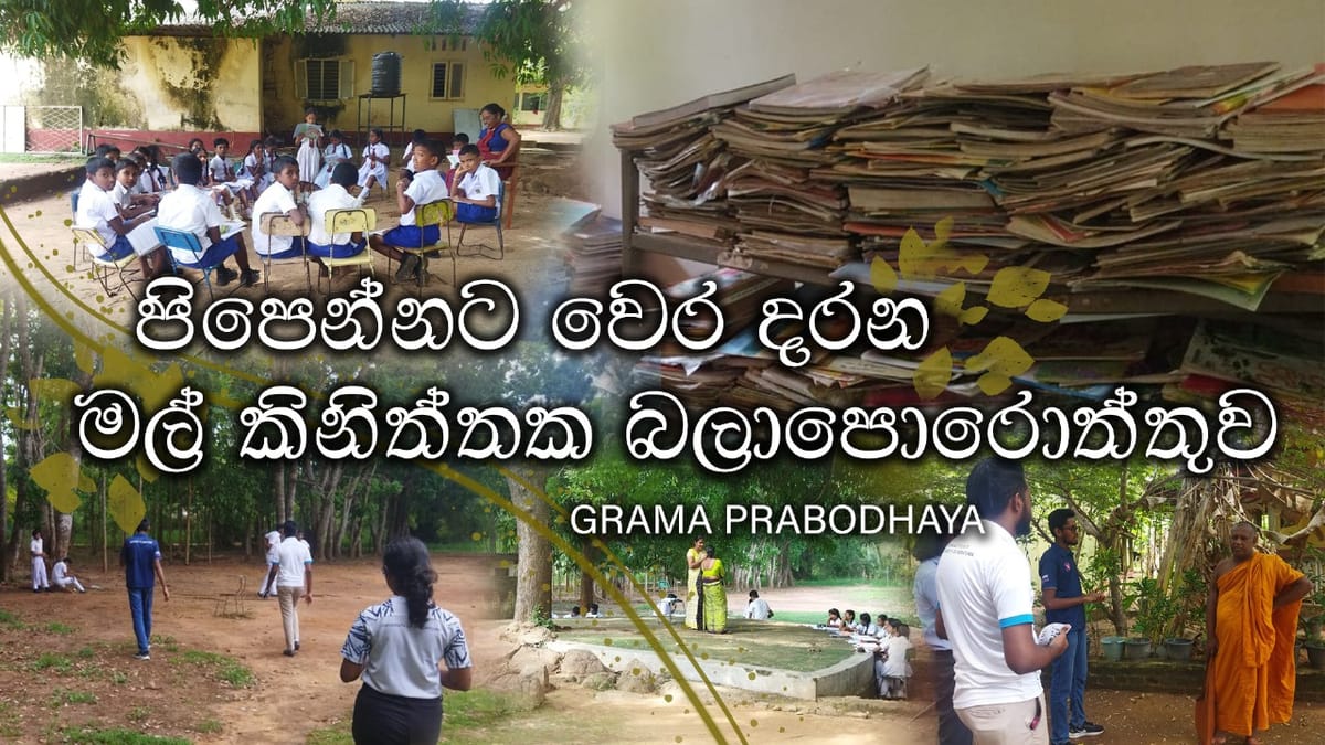 පිපෙන්නට වෙර දරන මල් කිනිත්තක බලාපොරොත්තුව