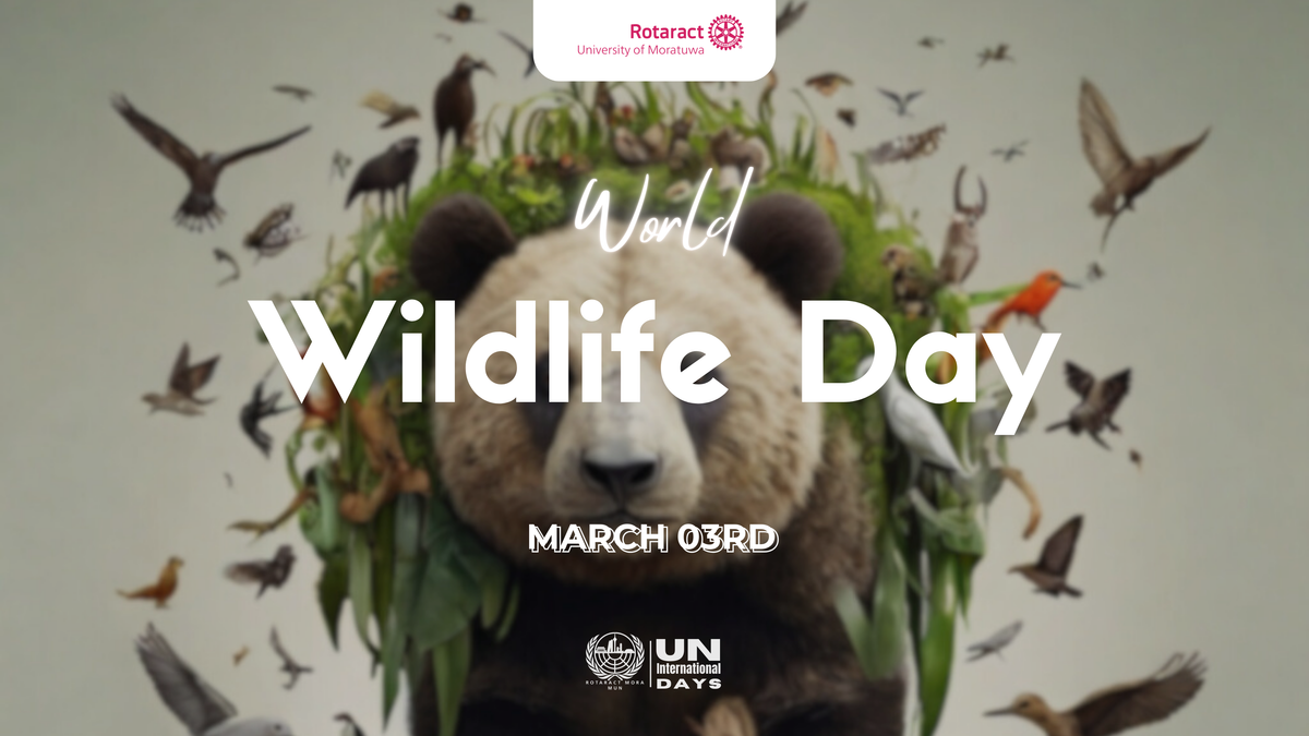 Word Wildlife Day