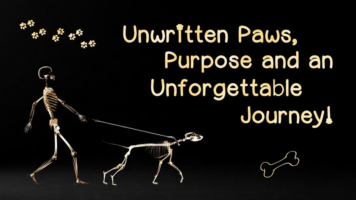 Paws, Purpose, and an Unforgettable Journey!