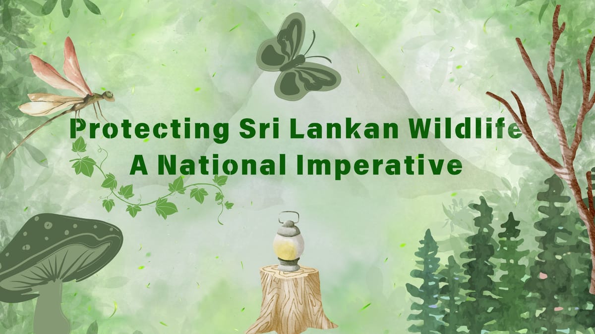 Protecting Sri Lankan Wildlife: A National Imperative