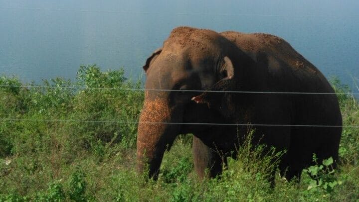 A Venture To Enjoy And Renew The Vigour - Board Trip