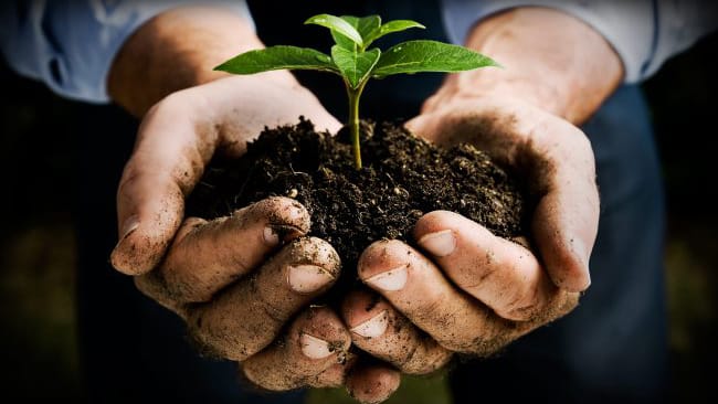 Protect Tomorrow, Today - An Insight Into Reforest Sri Lanka With Its Co-Founder