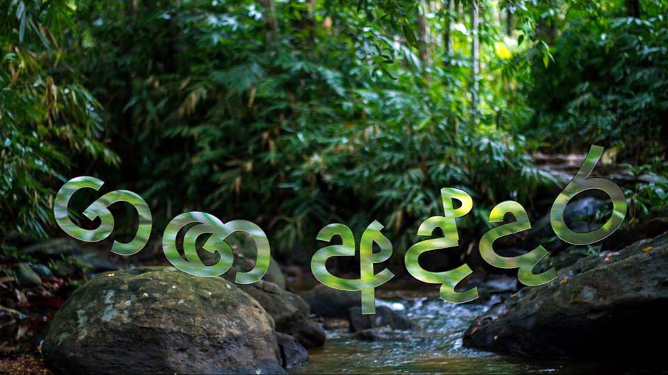 Plant A Tree, Save A River – Ganga Addara Phase 2.0