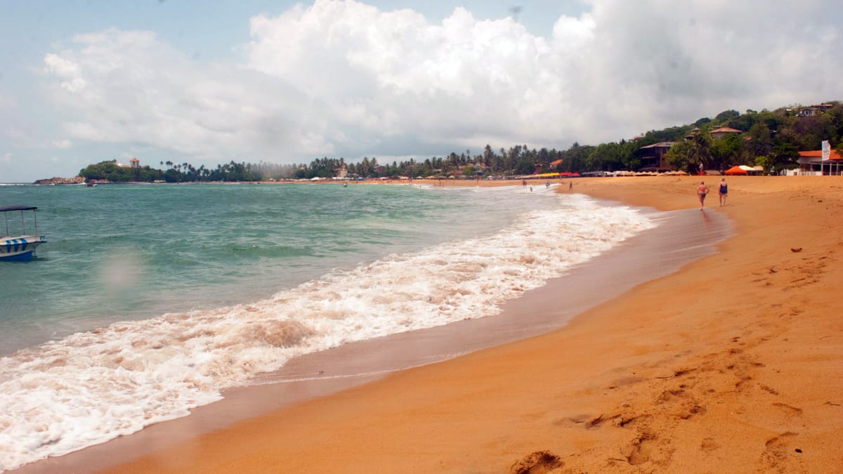 A New Home for SpongeBob - Zooxanthellae Phase 1