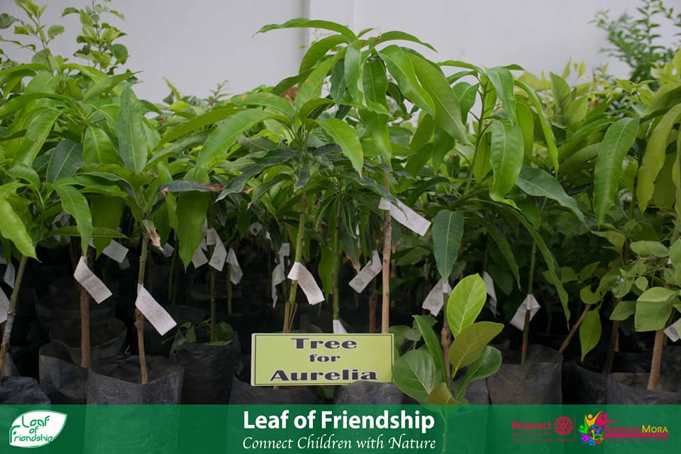 Rotaract Mora and RAC Nallur Heritage Redefines Friendships with ‘Leaf of Friendship’