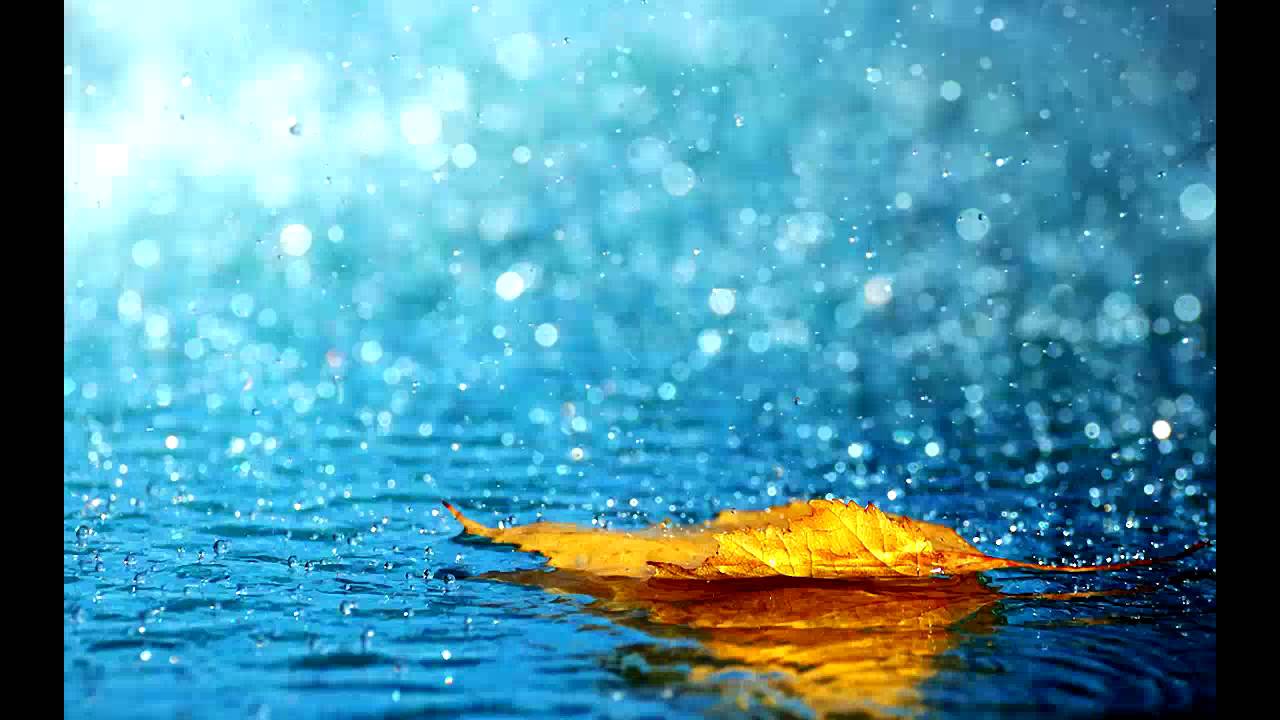 Rain is grace...