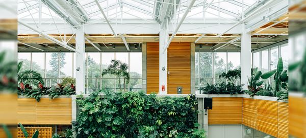 "Stay in peace, make it green..."