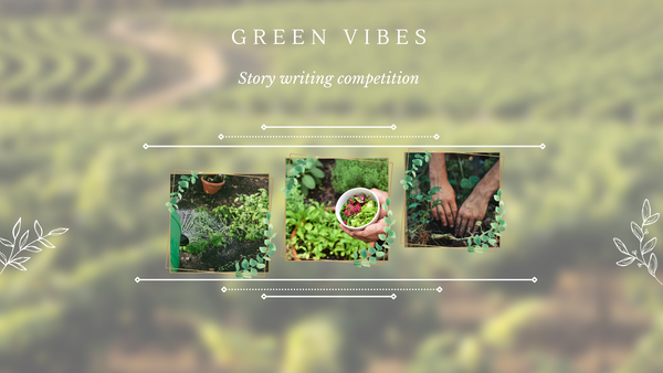 My Gardening Story...