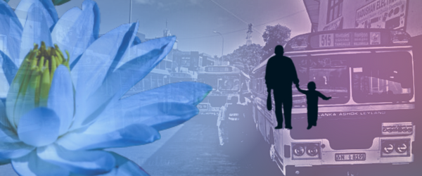 Lotus Can Bring Happiness!