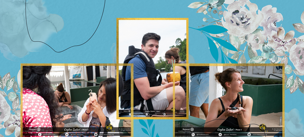 Dear Southern Coastal Line...