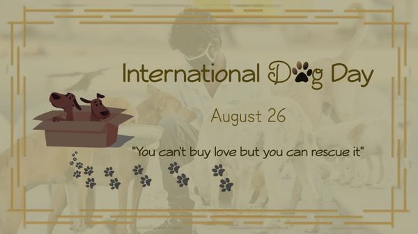 Heed to Forlorn Canines