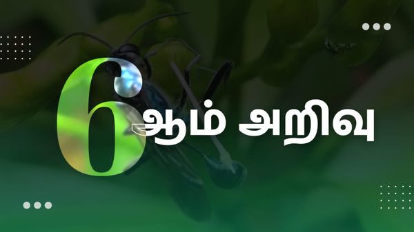 ஆறாம் அறிவு - Sixth Sense