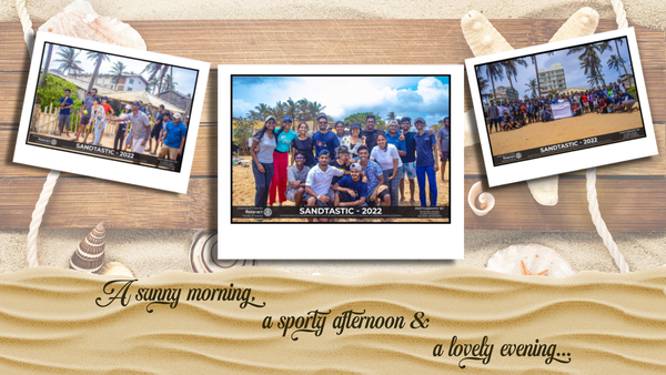 Sea Beasts & Seashells