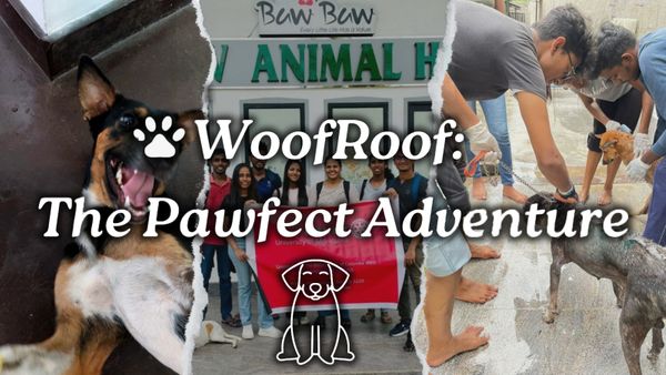 WoofRoof: The Pawfect Adventure