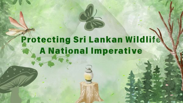 Protecting Sri Lankan Wildlife: A National Imperative