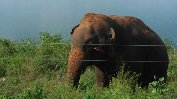 A Venture To Enjoy And Renew The Vigour - Board Trip