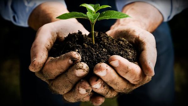 Protect Tomorrow, Today - An Insight Into Reforest Sri Lanka With Its Co-Founder