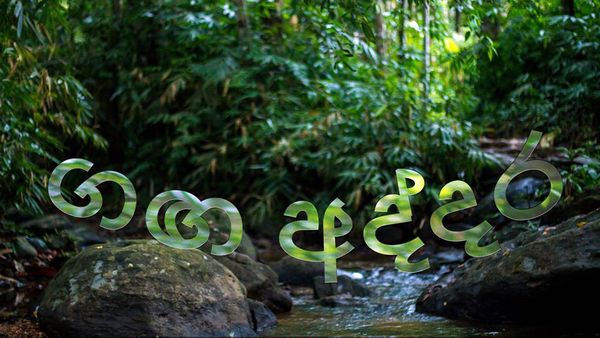 Plant A Tree, Save A River – Ganga Addara Phase 2.0