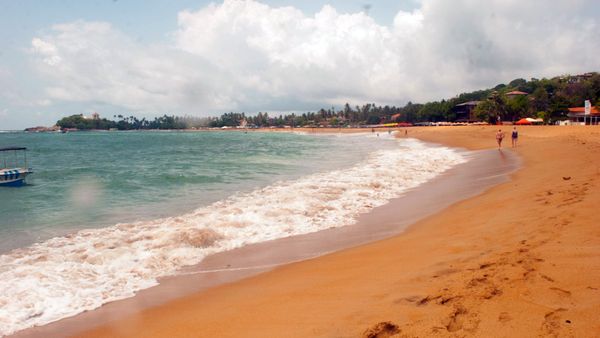 A New Home for SpongeBob - Zooxanthellae Phase 1